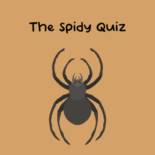 The Spidy Quiz