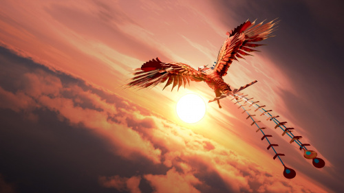 How We Soar