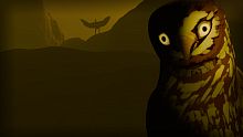 Birds Watching