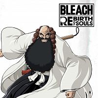 BLEACH Rebirth of Souls - Ichibe Hyosube