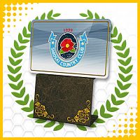 Everybody’s Golf Загородный клуб «Балата»