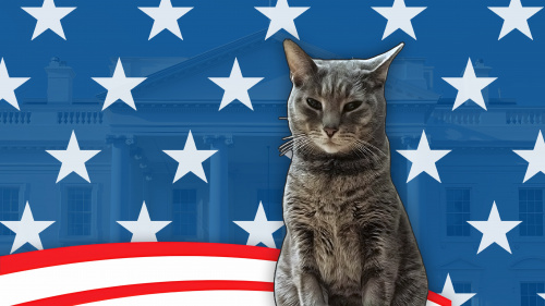 Cat President: A More Purrfect Union PS4® & PS5®