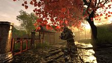 Shadow the Ronin: The Revenge to the Samurai
