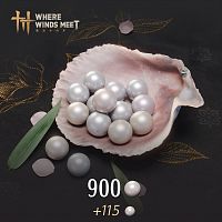 Where Winds Meet - 900 Эхо-Бус