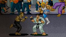 Arcade Archives STREET SMART