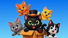 Cat in the Box (Xbox One)