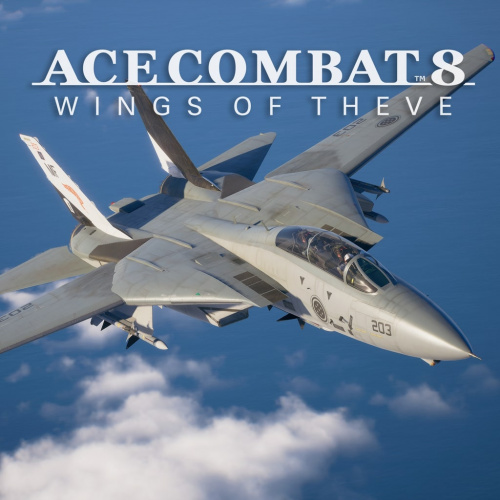 ACE COMBAT 8: WINGS OF THEVE - Playable Aircraft: F-14A ACE COMBAT 8: WINGS OF THEVE - Playable Aircraft: F-14A