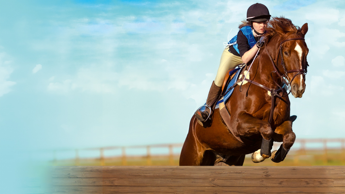 Купить Equestrian Training с пожизненной гарантией. Безопасная оплата и  накопительные скидки