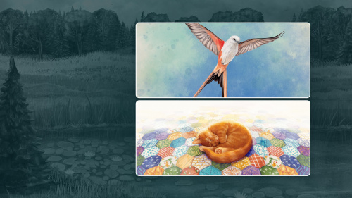 Birds and Cats Birds and Cats