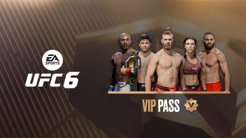 UFC™ 6 — VIP-пропуск фото 2