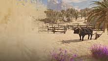Ancient Farm
