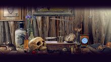 Time Trap: Hidden Objects