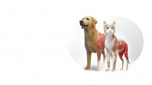 Animal Anatomy VR