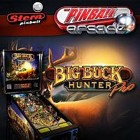 Big Buck Hunter Pro®
