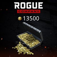 13 500 R-баксов