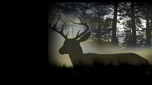 Deer Hunting Camp