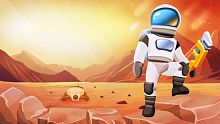 Mars Survivor