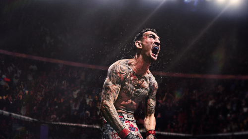 UFC® 6 Ultimate Edition