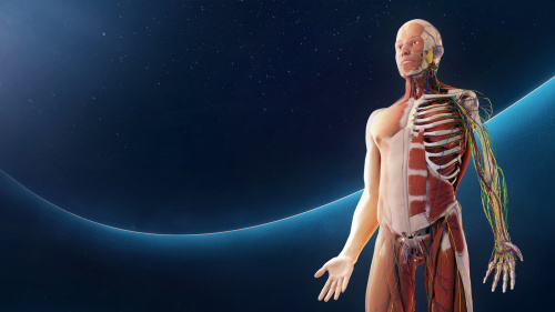 Human Anatomy VR