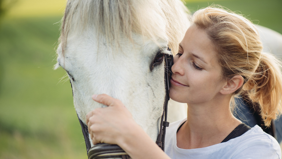 Купить Living with Horses: My Horse Farm с пожизненной гарантией.  Безопасная оплата и накопительные скидки