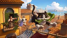 Pawbay: Cozy Strays
