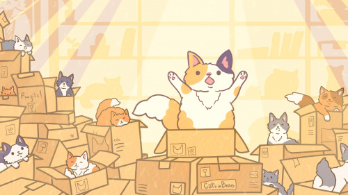 Cats in Boxes