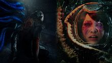 Stasis Bundle