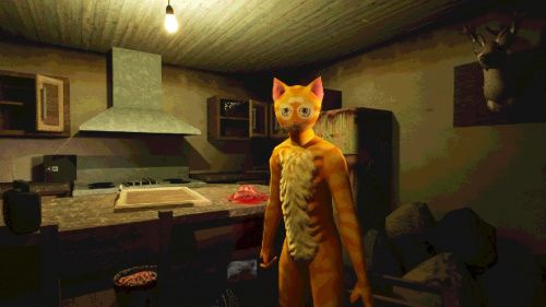 Cat Named Mojave Cat Named Mojave