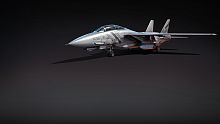 War Thunder - F-14D Bundle