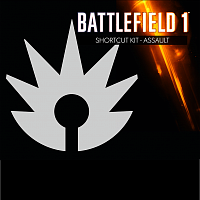 Набор для класса Battlefield™ 1: Штурмовик