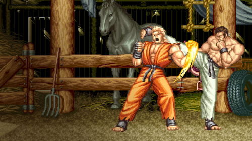 ACA NEOGEO ART OF FIGHTING 2