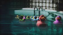 THE POOLS