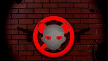 Shoot the wall
