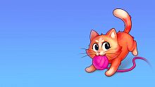 Angry Cat