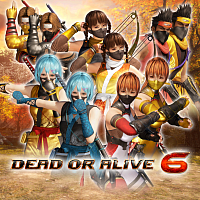 Набор костюмов могучих ниндзя DOA6
